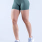 High Elastic Matte Nylon Seamless Low Waist Shorts Fitness Yoga Shorts