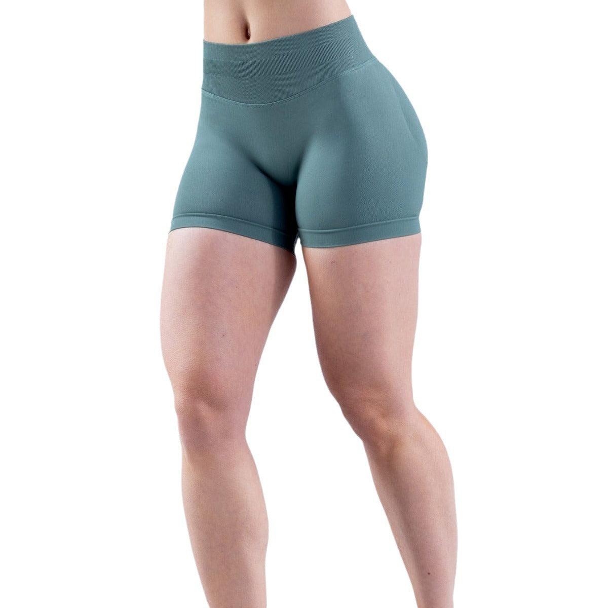 High Elastic Matte Nylon Seamless Low Waist Shorts Fitness Yoga Shorts